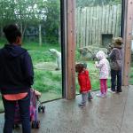Zoo trip